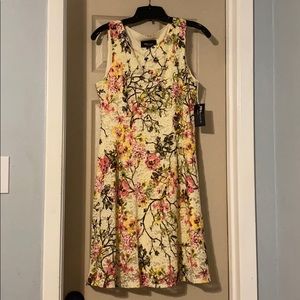 RN Studio size 8P Spring Dress